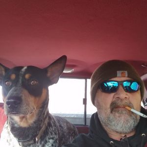 Meet your Posher, James